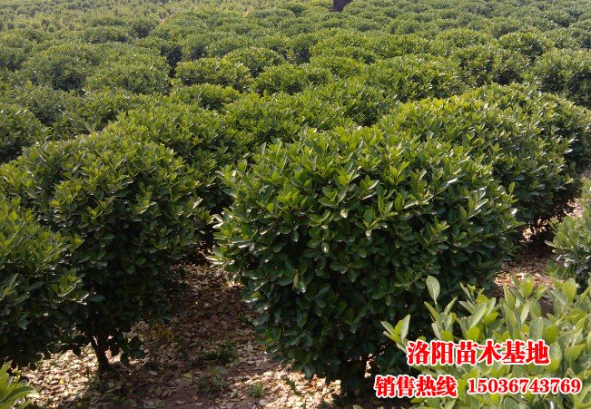 ���~�S����