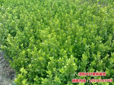 С�~�S�����