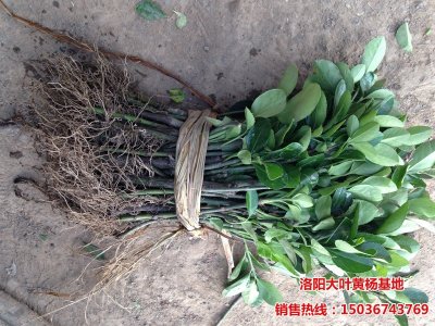 ���~�S����1