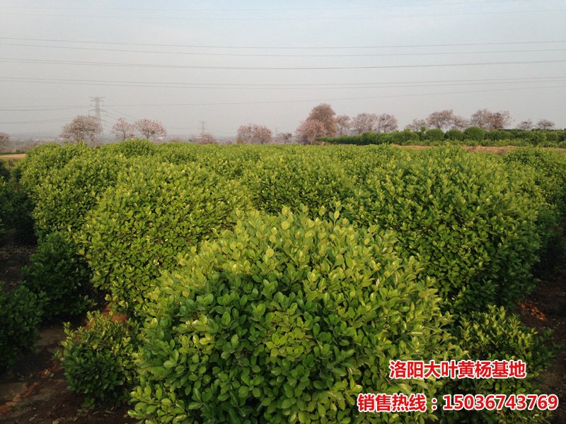 ���~�S����