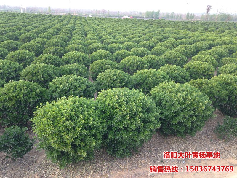 ���~�S����