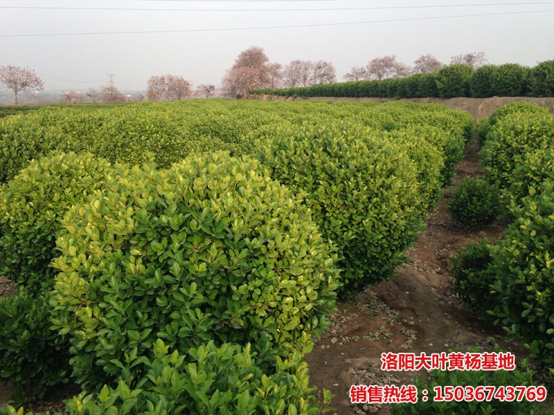 ���~�S����