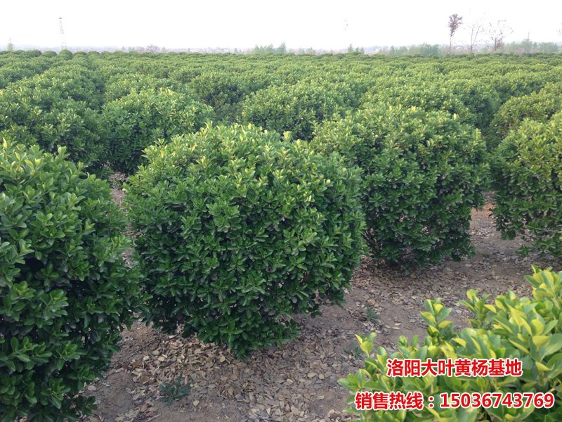 ���~�S����