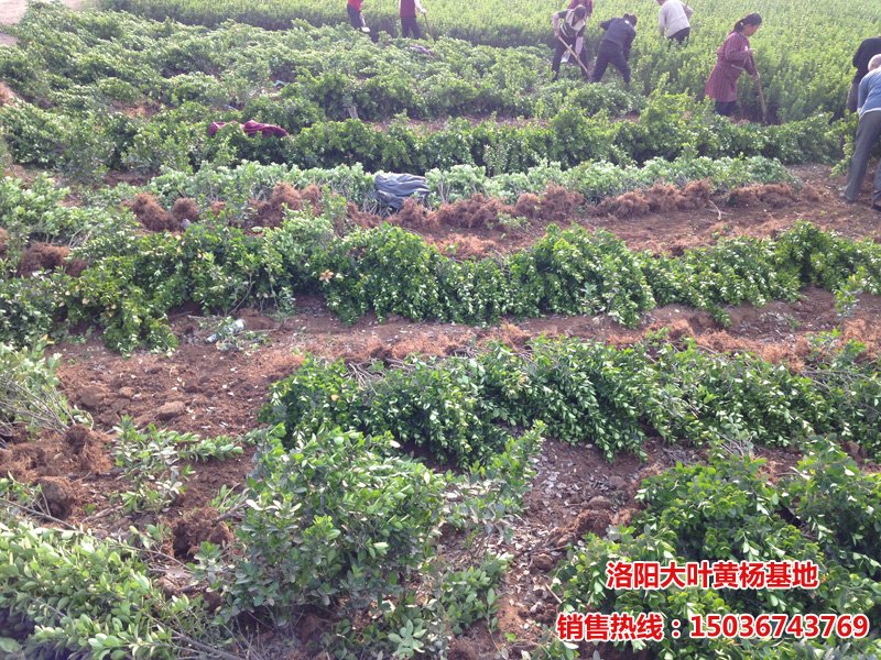 ���~�S������