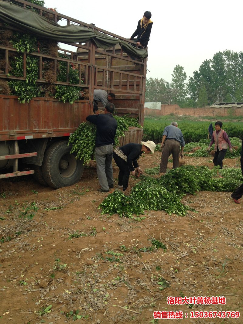 ���~�S���b܇